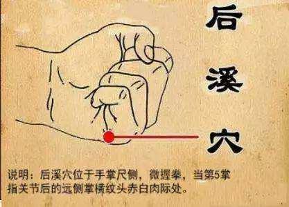 后溪穴