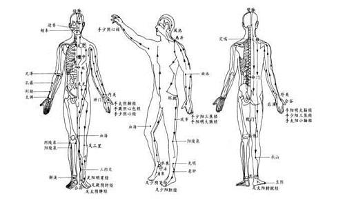 十二经络走向及功效作用