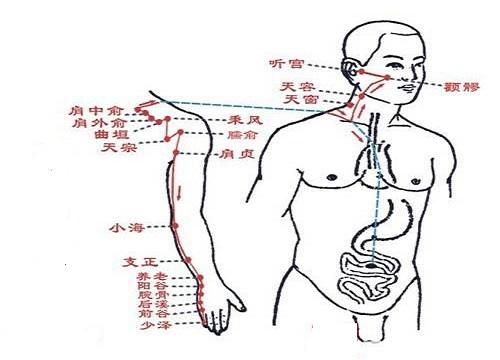 小肠经