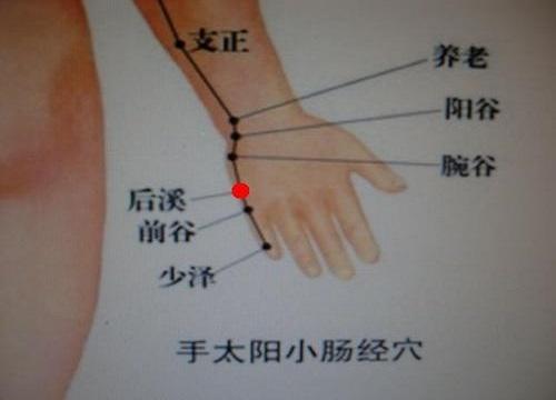 小肠经的功效