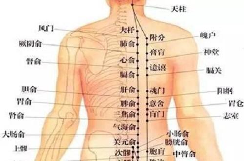 足太阳膀胱经的功效和作用