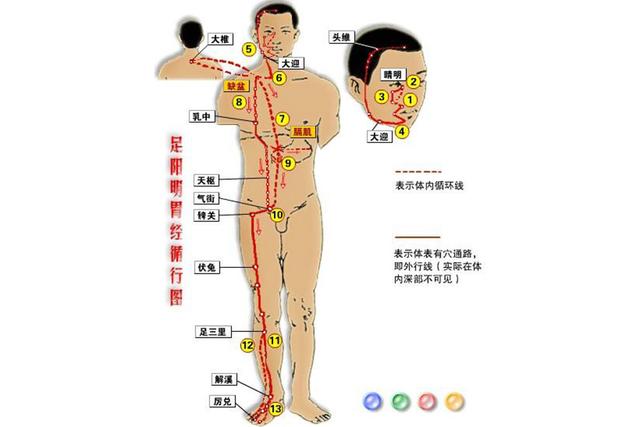 胃经