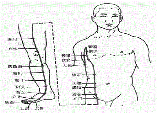 十二经脉