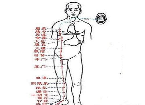 足太阴脾经的功效和作用