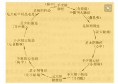 十二经脉流注次序