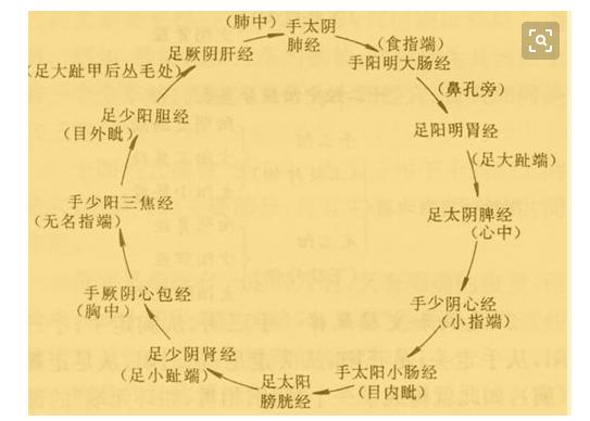 十二经脉