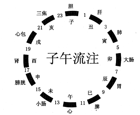 子午流注
