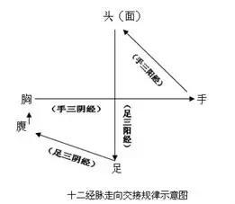 十二经脉交接