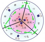 十二经脉的循行用词说明