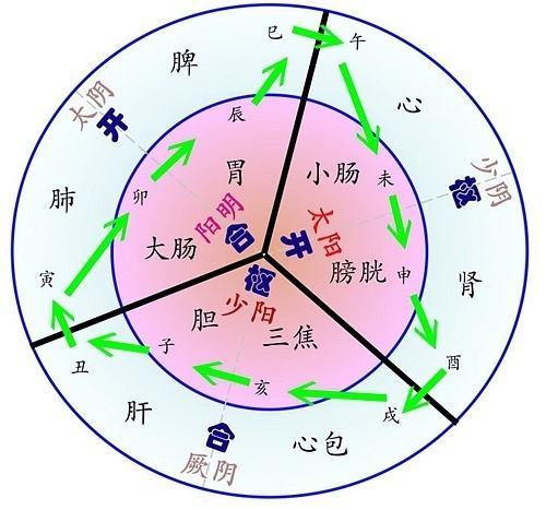 十二经脉的循行用词说明