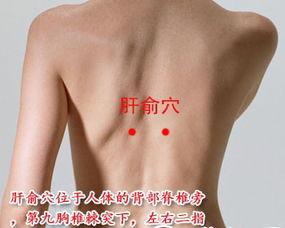 艾灸疗法