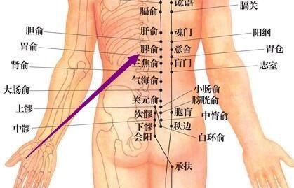 艾灸疗法