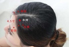 本神穴的准确穴位图及作用