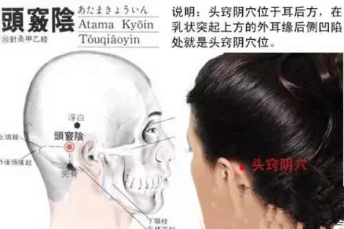头窍阴穴的准确穴位图