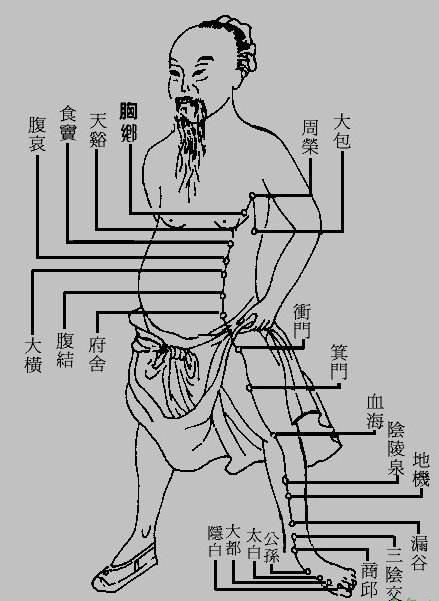 足太阴之络