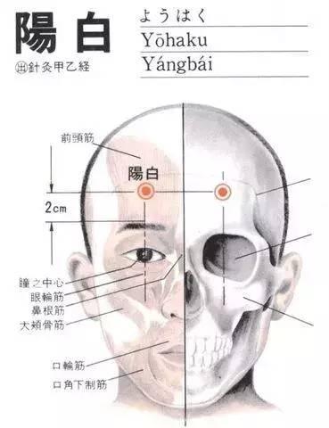 阳白穴的作用