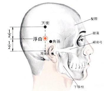 浮白穴的准确穴位图及作用