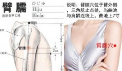 臂臑穴的准确穴位图及作用