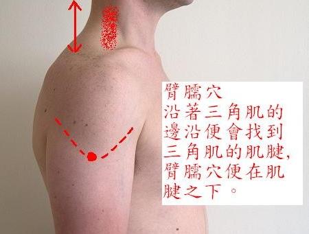臂臑穴位的作用