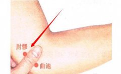 肘髎穴的准确穴位图及功效作用
