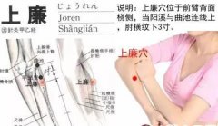 上廉穴的准确穴位图及作用
