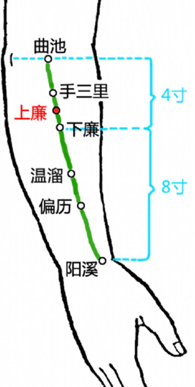 上廉穴的准确穴位图及作用
