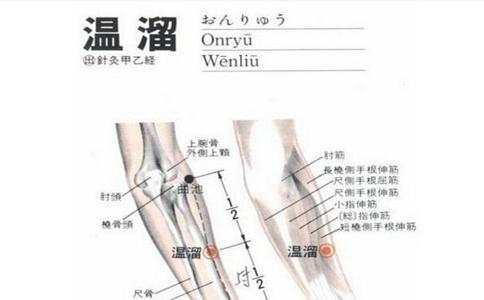 温溜穴位的作用