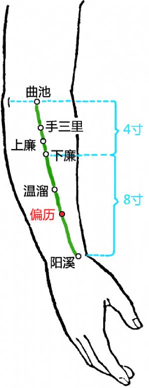 偏历穴位的作用