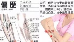 偏历穴的准确穴位图及作用