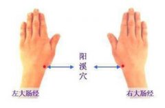 阳溪穴的准确穴位图及作用