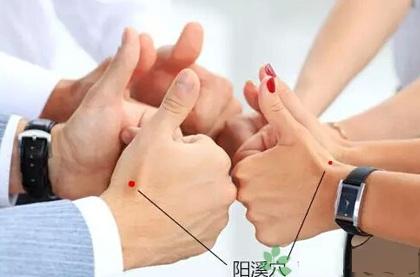 阳溪穴的准确穴位图及作用