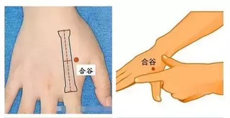 合谷穴位的作用