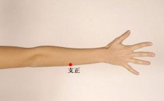 支正穴的准确穴位图及作用