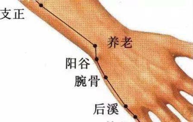 养老穴的准确穴位图及作用