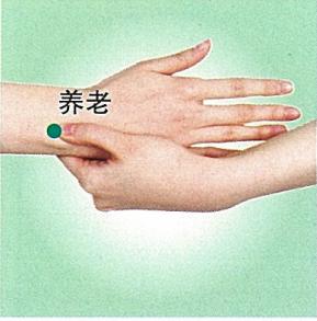 养老穴位的作用
