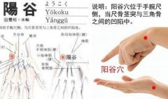 阳谷穴的准确穴位图及作用