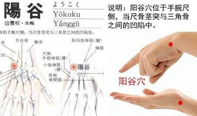 阳谷穴