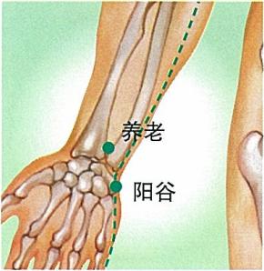 阳谷穴的准确穴位图及作用