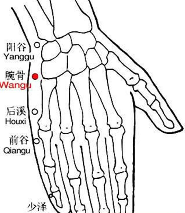 腕骨穴位的作用