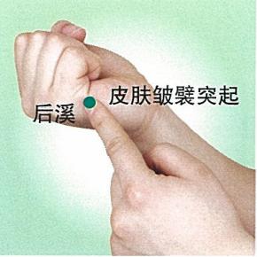 后溪穴的功效与作用