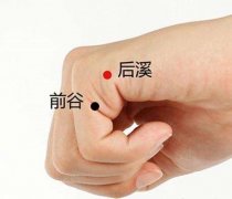 后溪穴的准确穴位图及功效作用