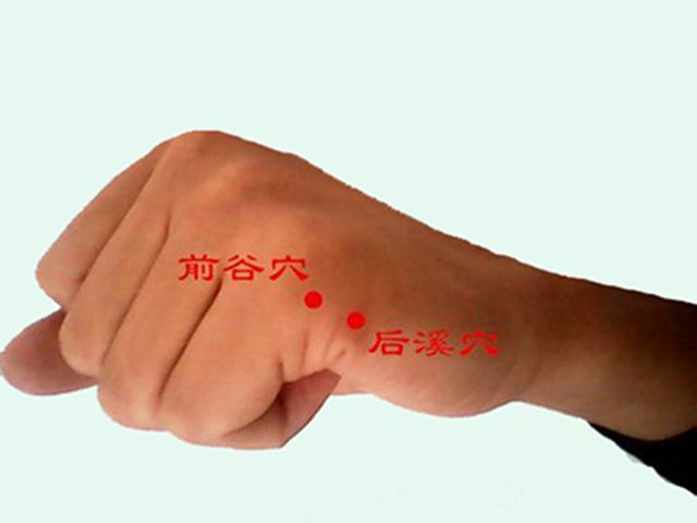 前谷穴的准确穴位图及作用