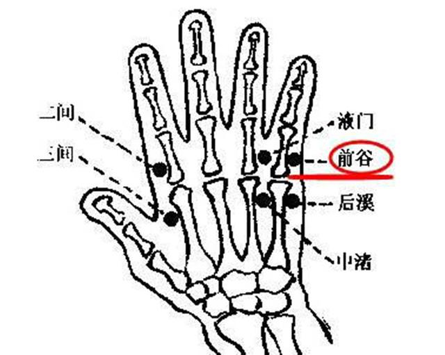 前谷穴位的作用