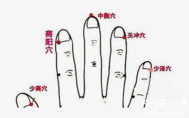 少泽穴位的作用