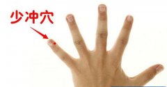 少冲穴的准确穴位图及作用