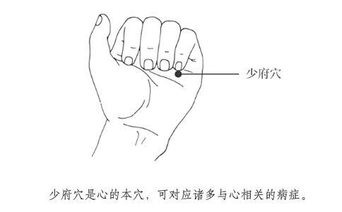 少府穴的准确穴位图及功效作用