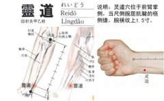 灵道穴的准确穴位图及作用
