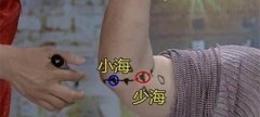 少海穴的准确穴位图及作用