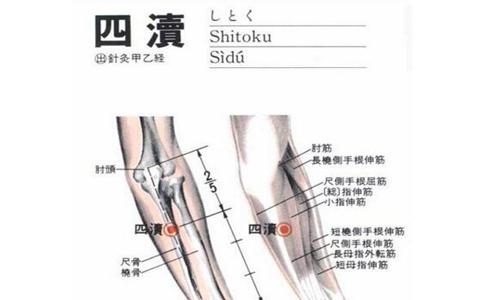 四渎穴位的作用