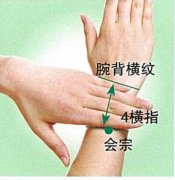 会宗穴的准确穴位图及作用